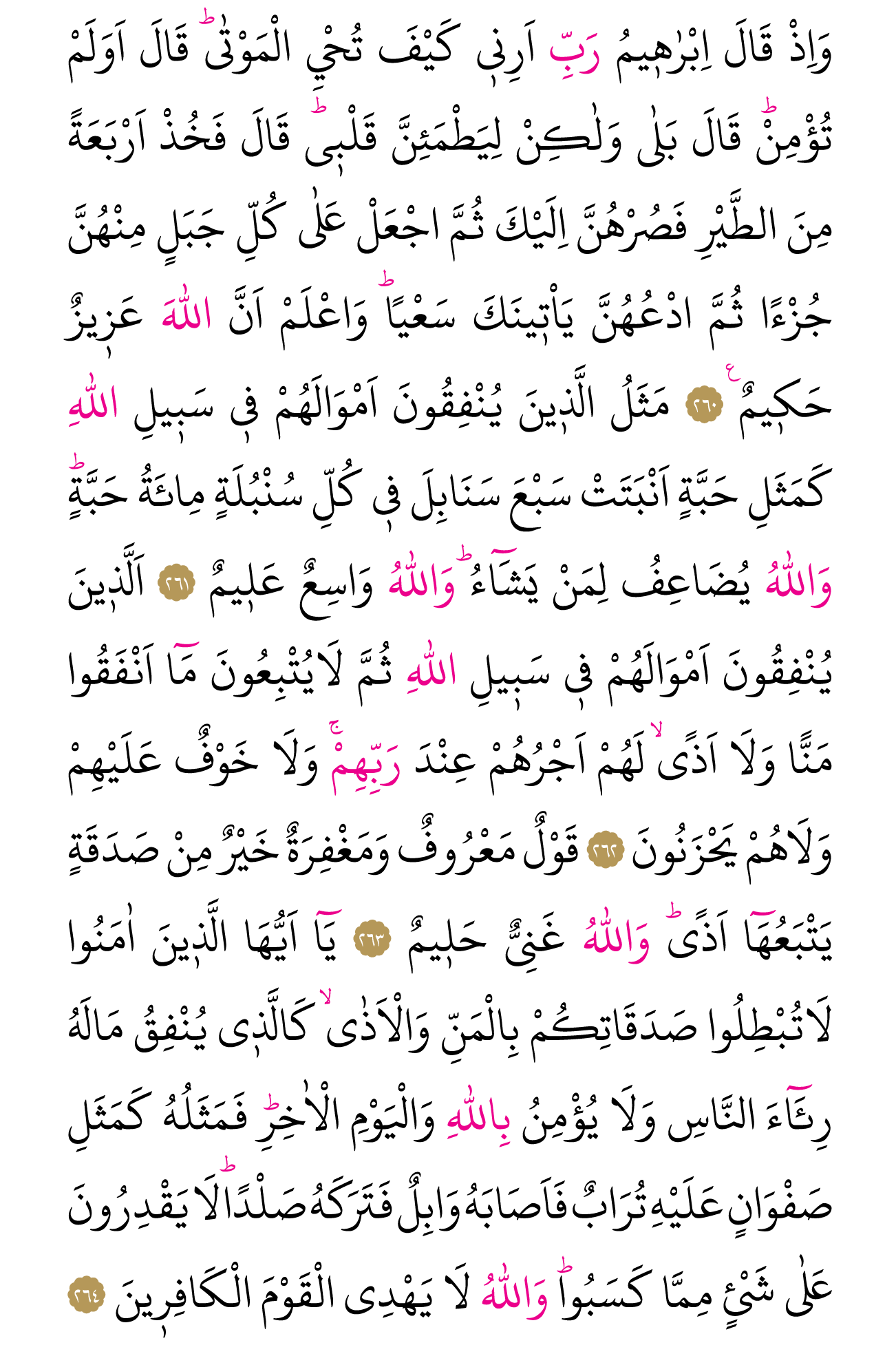 Kur'an'ın 43. cüzü