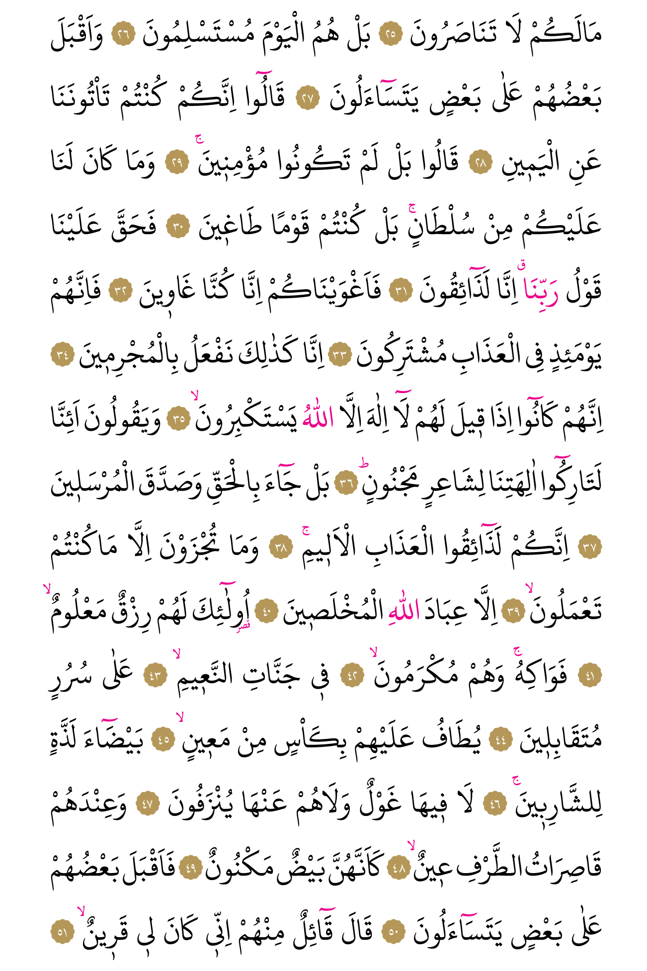 Kur'an'ın 446. cüzü