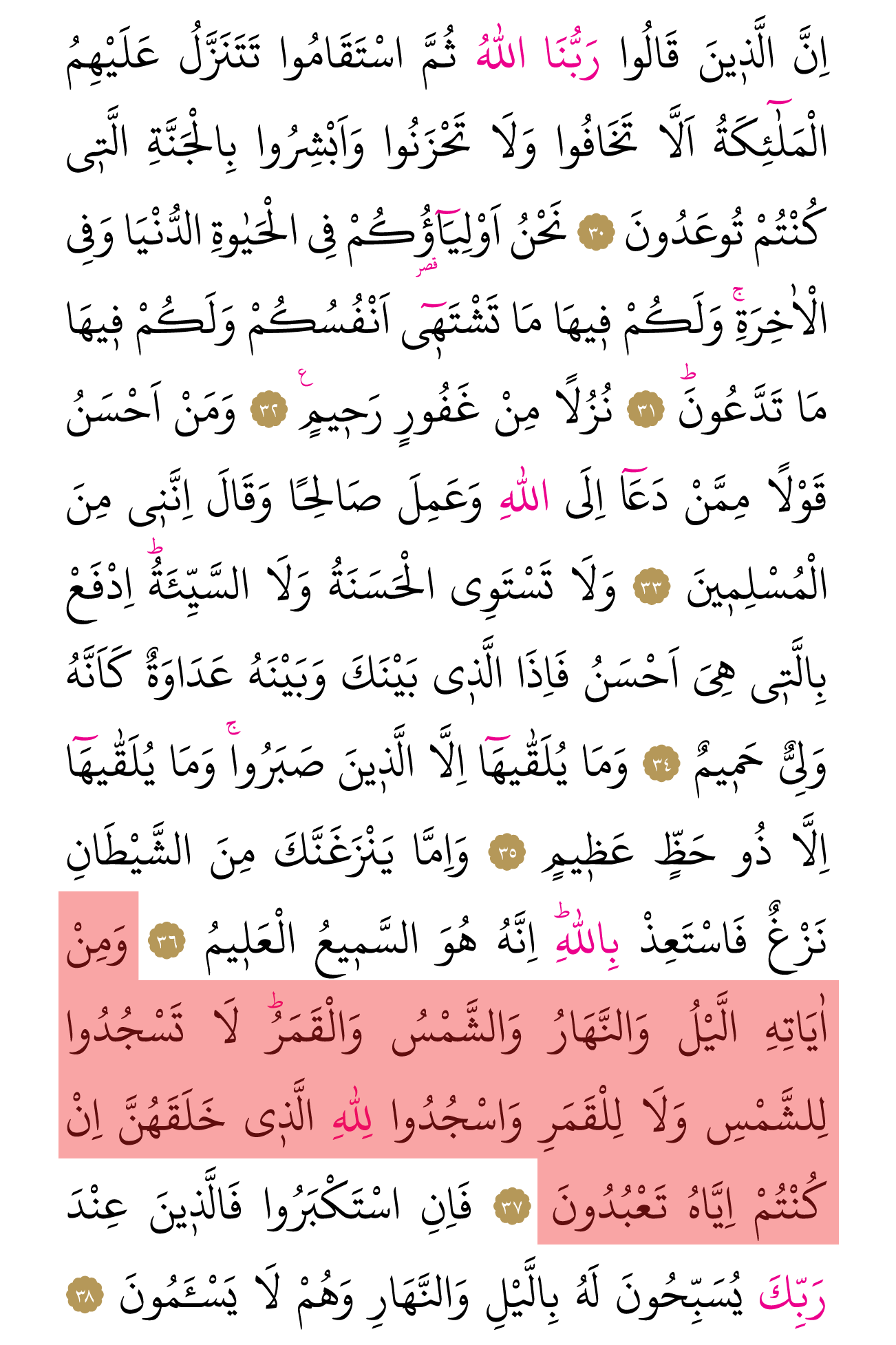 Kur'an'ın 479. cüzü