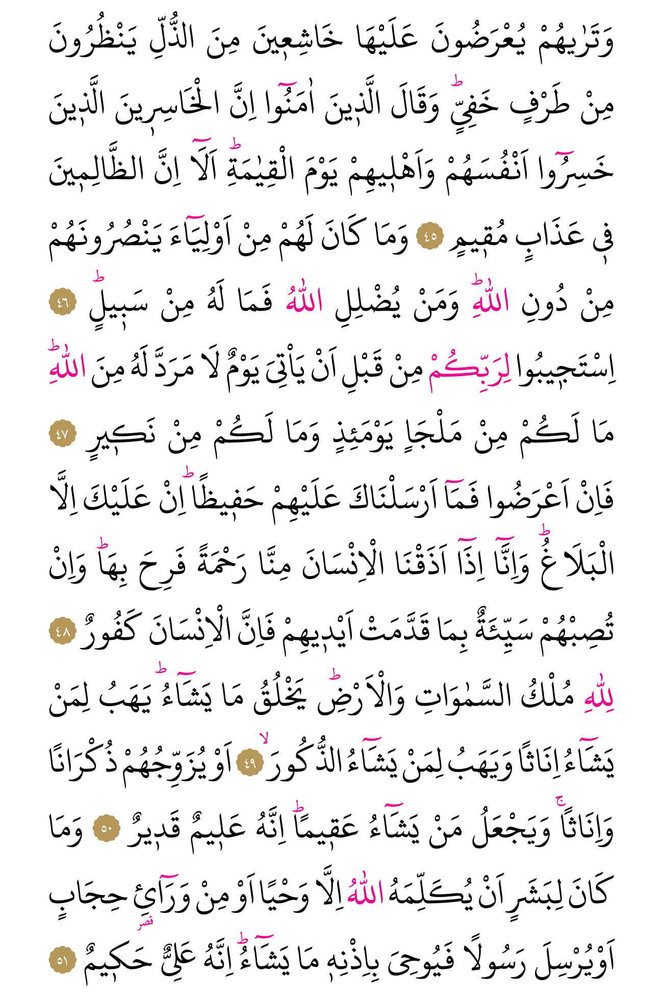 Kur'an'ın 487. cüzü