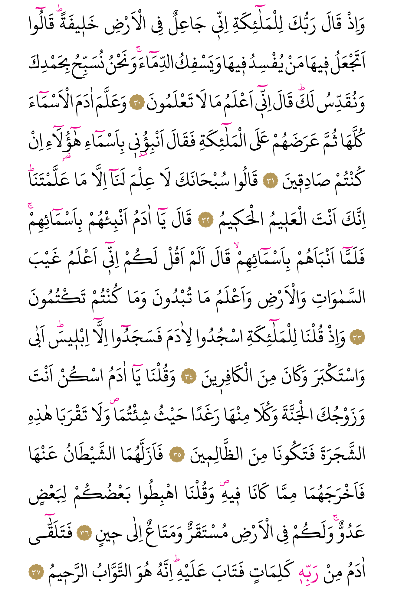 Kur'an'ın 5. cüzü