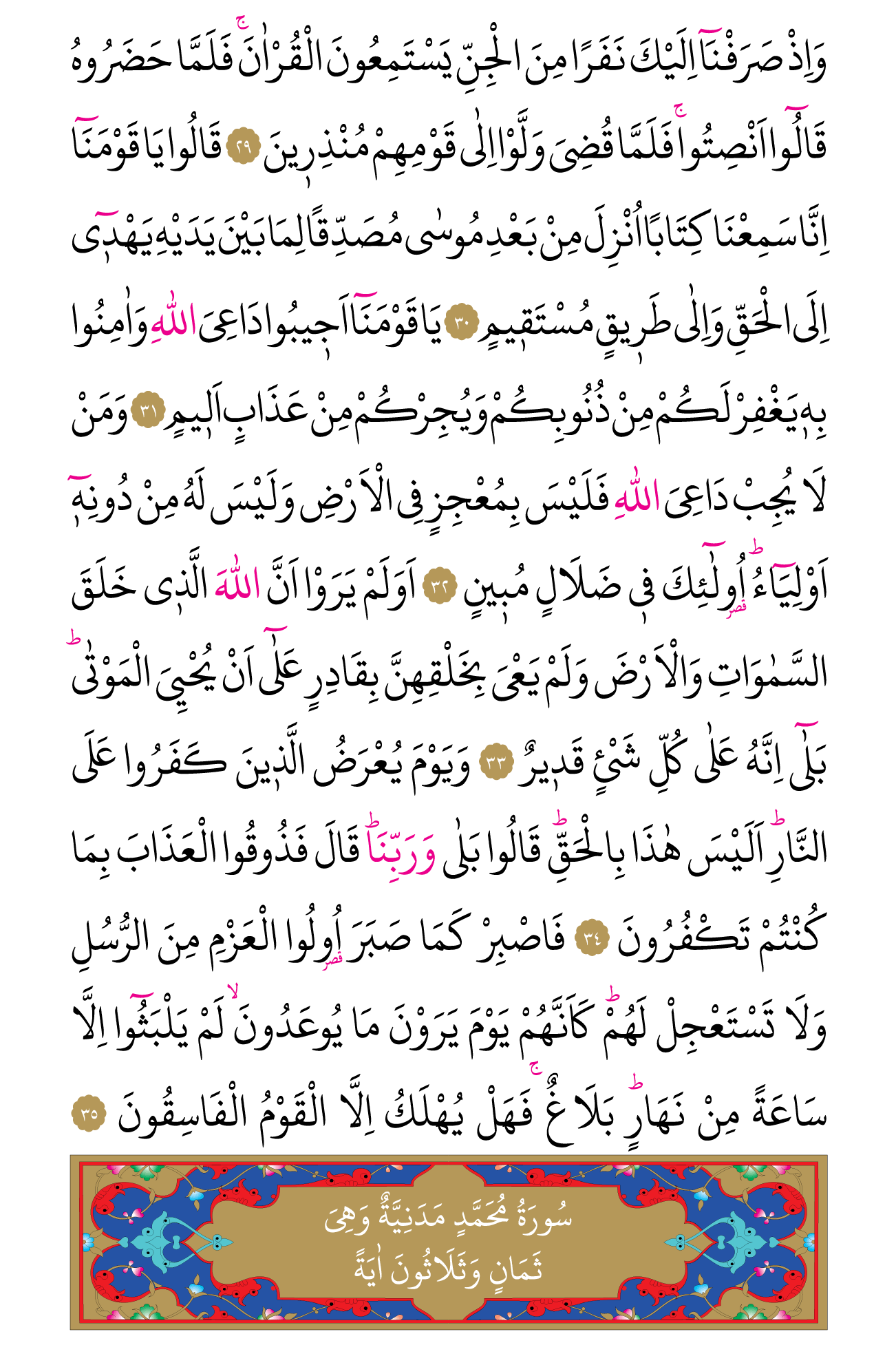 Kur'an'ın 505. cüzü