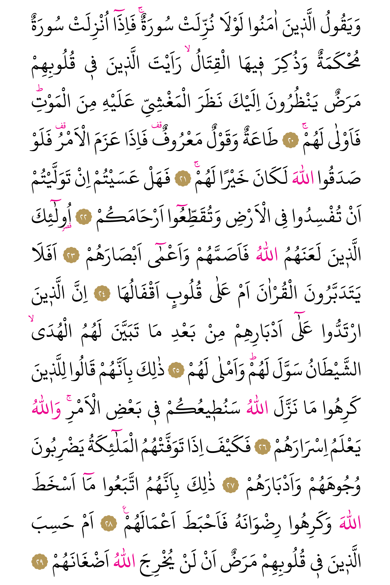 Kur'an'ın 508. cüzü