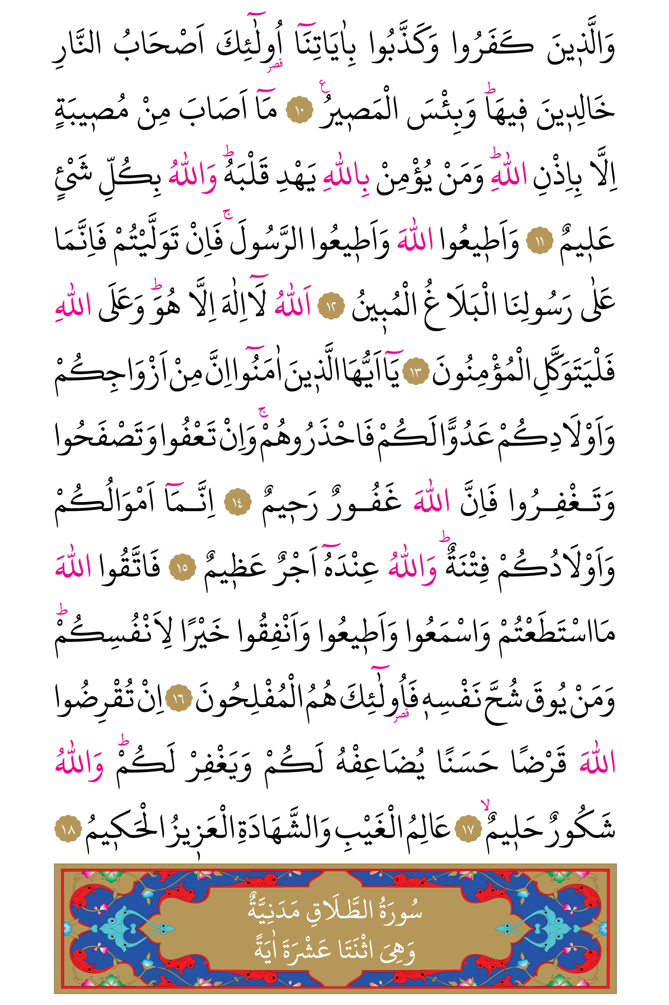 Kur'an'ın 556. cüzü
