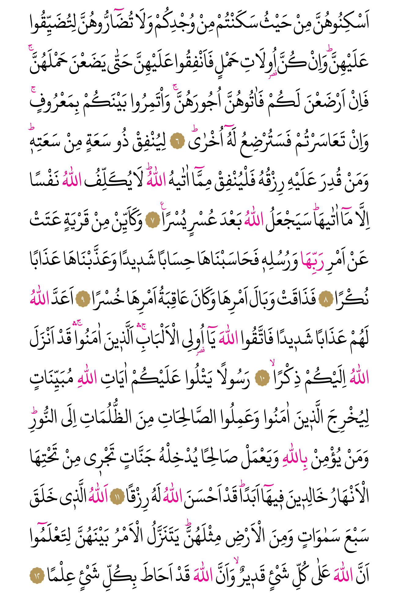 Kur'an'ın 558. cüzü