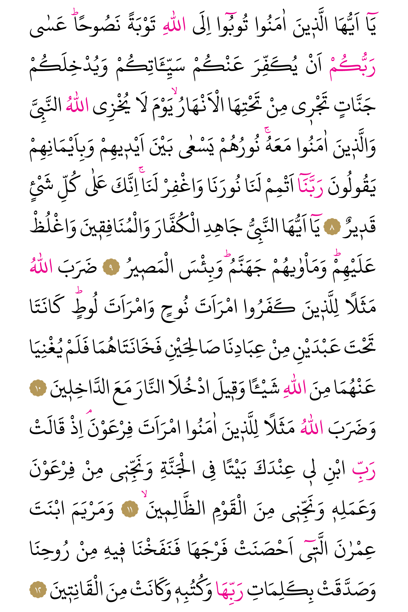 Kur'an'ın 560. cüzü