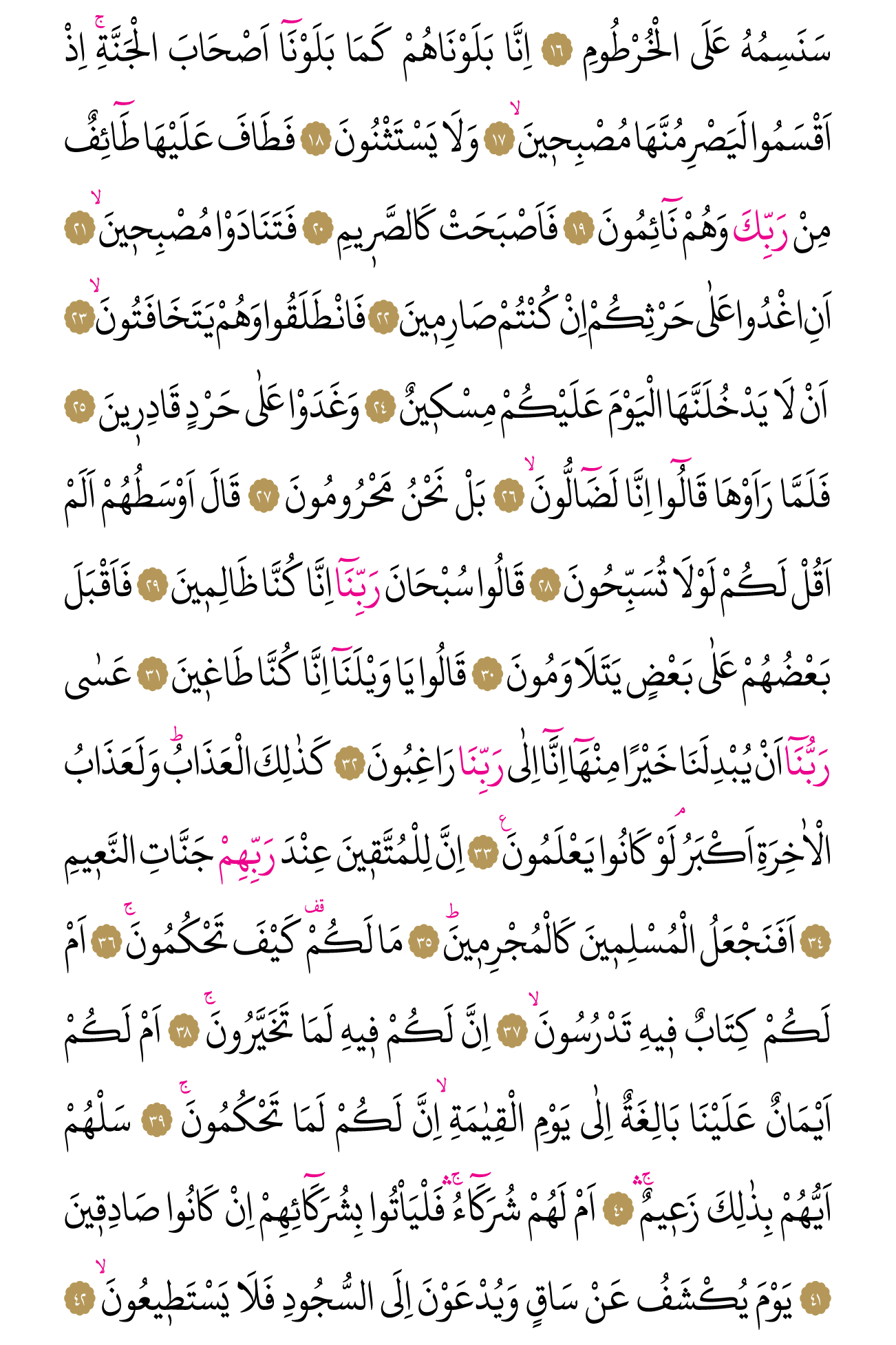 Kur'an'ın 564. cüzü