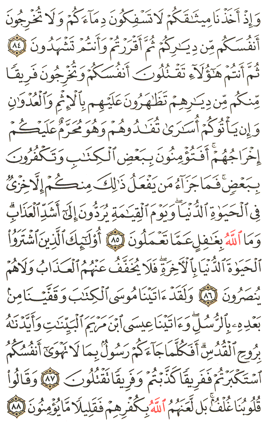 الصفحة رقم  13 من القرآن الكريم مكتوبة من المصحف