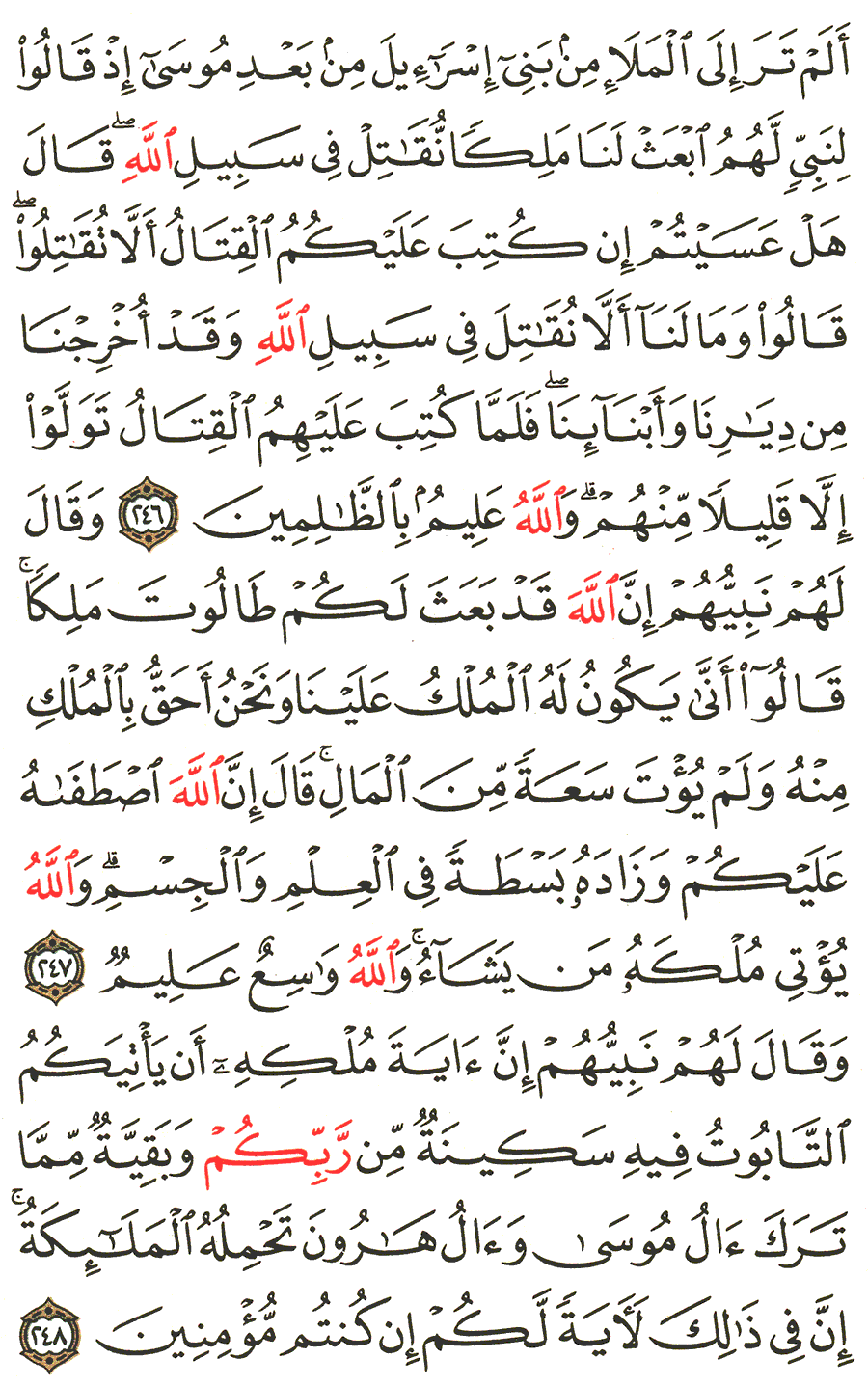 الصفحة رقم 40 من القرآن الكريم مكتوبة من المصحف