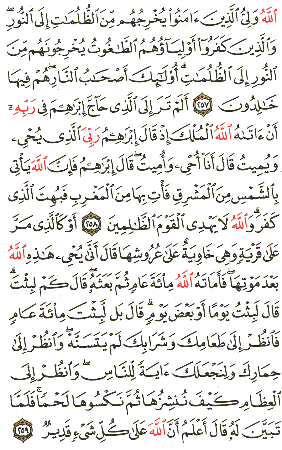 Page No 43  The Noble Quran  