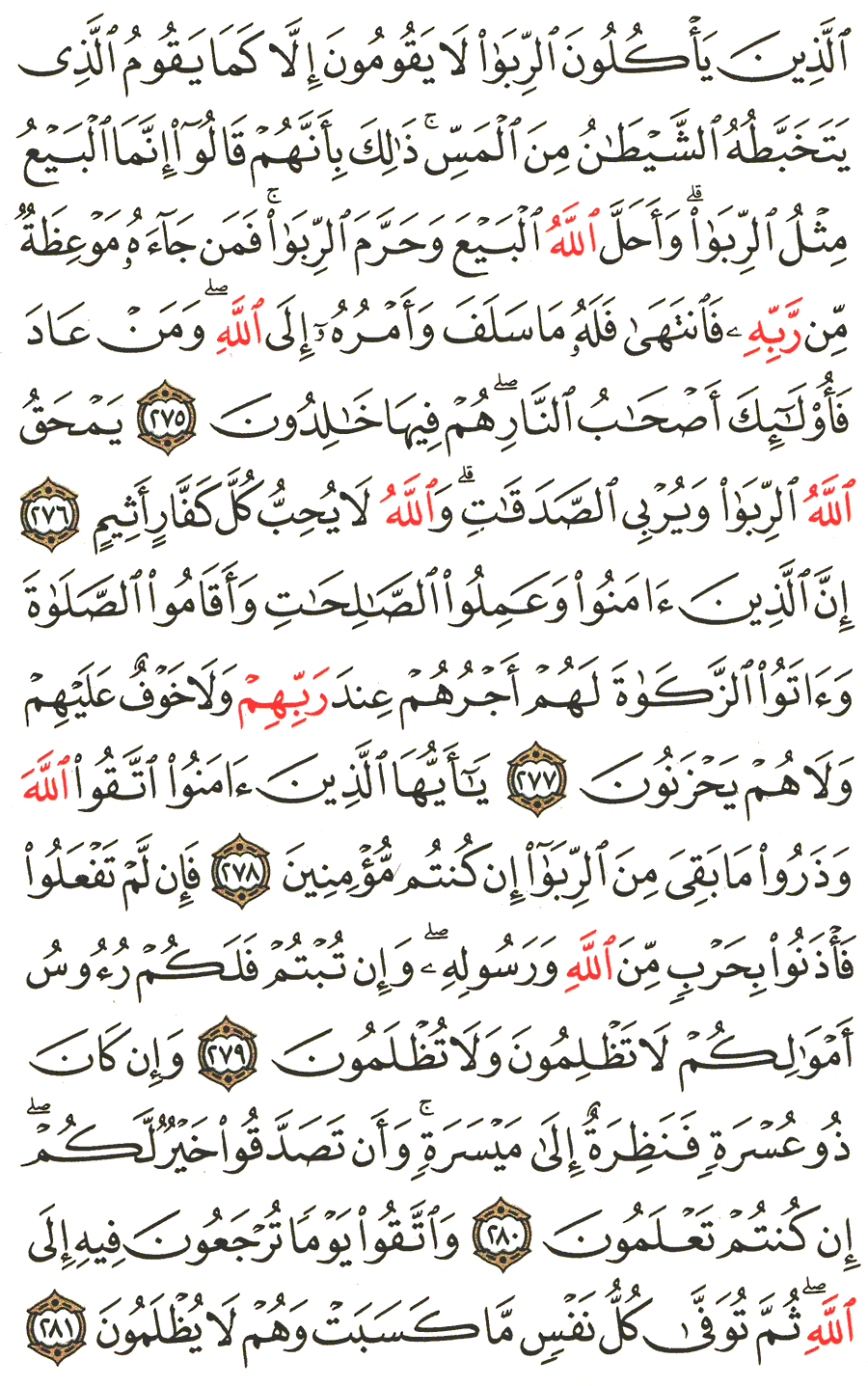 الصفحة رقم 47 من القرآن الكريم مكتوبة من المصحف