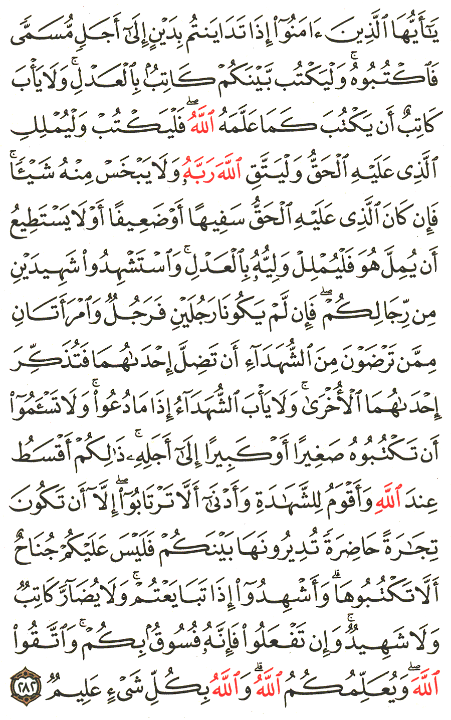 الصفحة رقم 48 من القرآن الكريم مكتوبة من المصحف