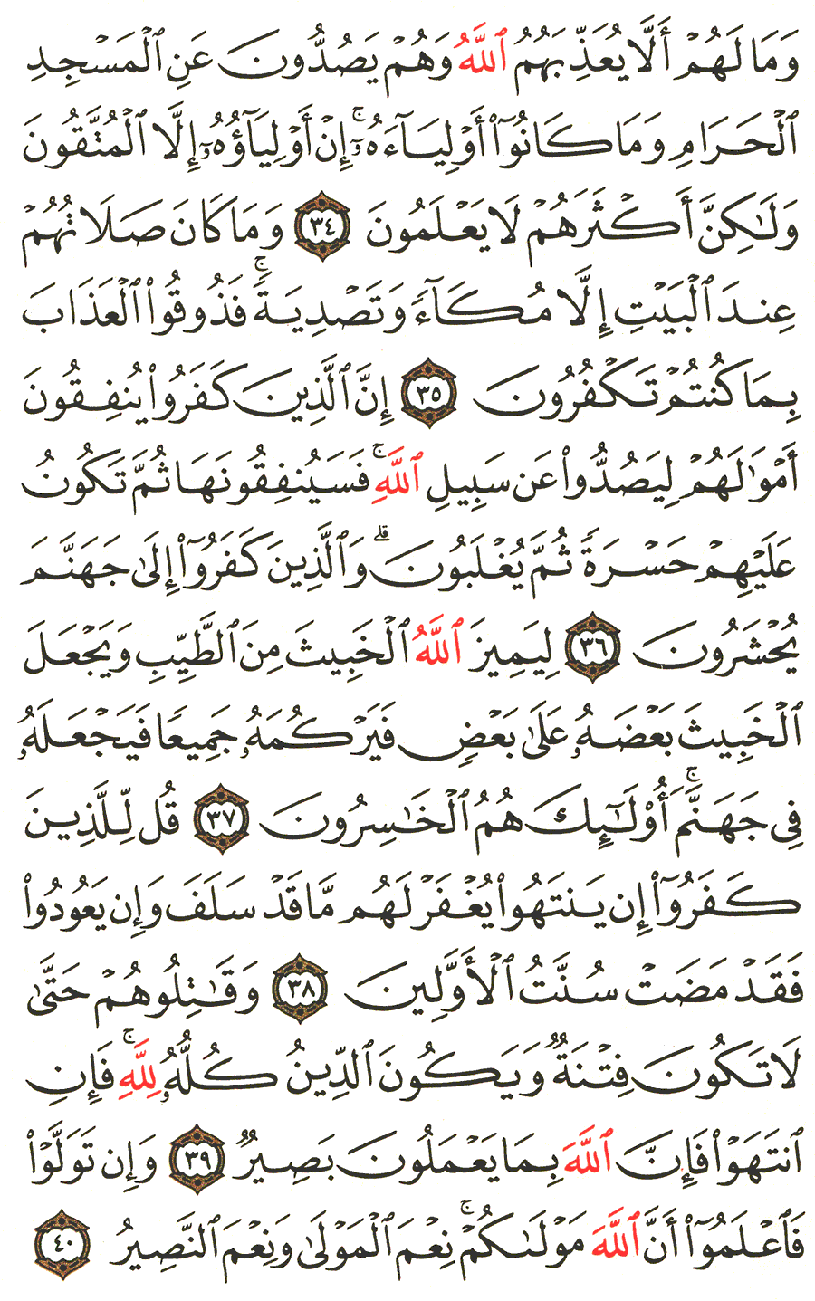Page No 181  The Noble Quran  