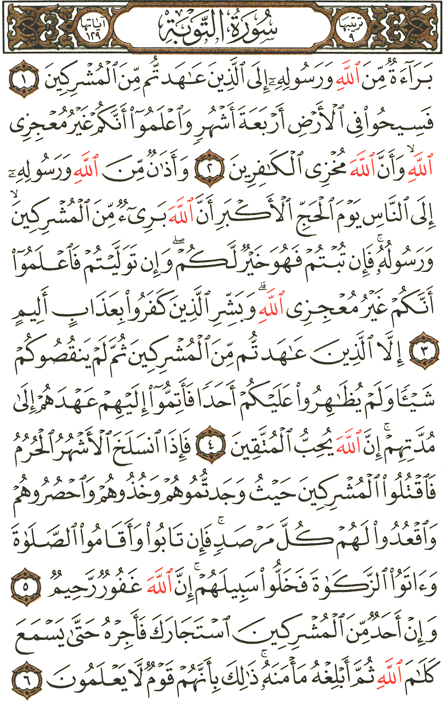 Page No 187  The Noble Quran  