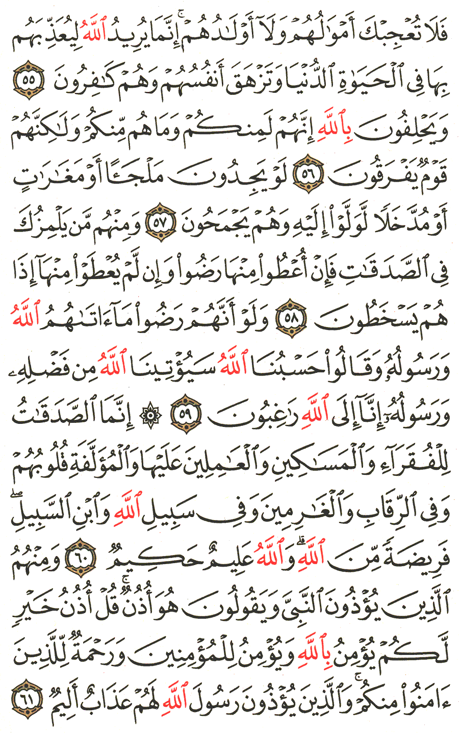 Page No 196  The Noble Quran  