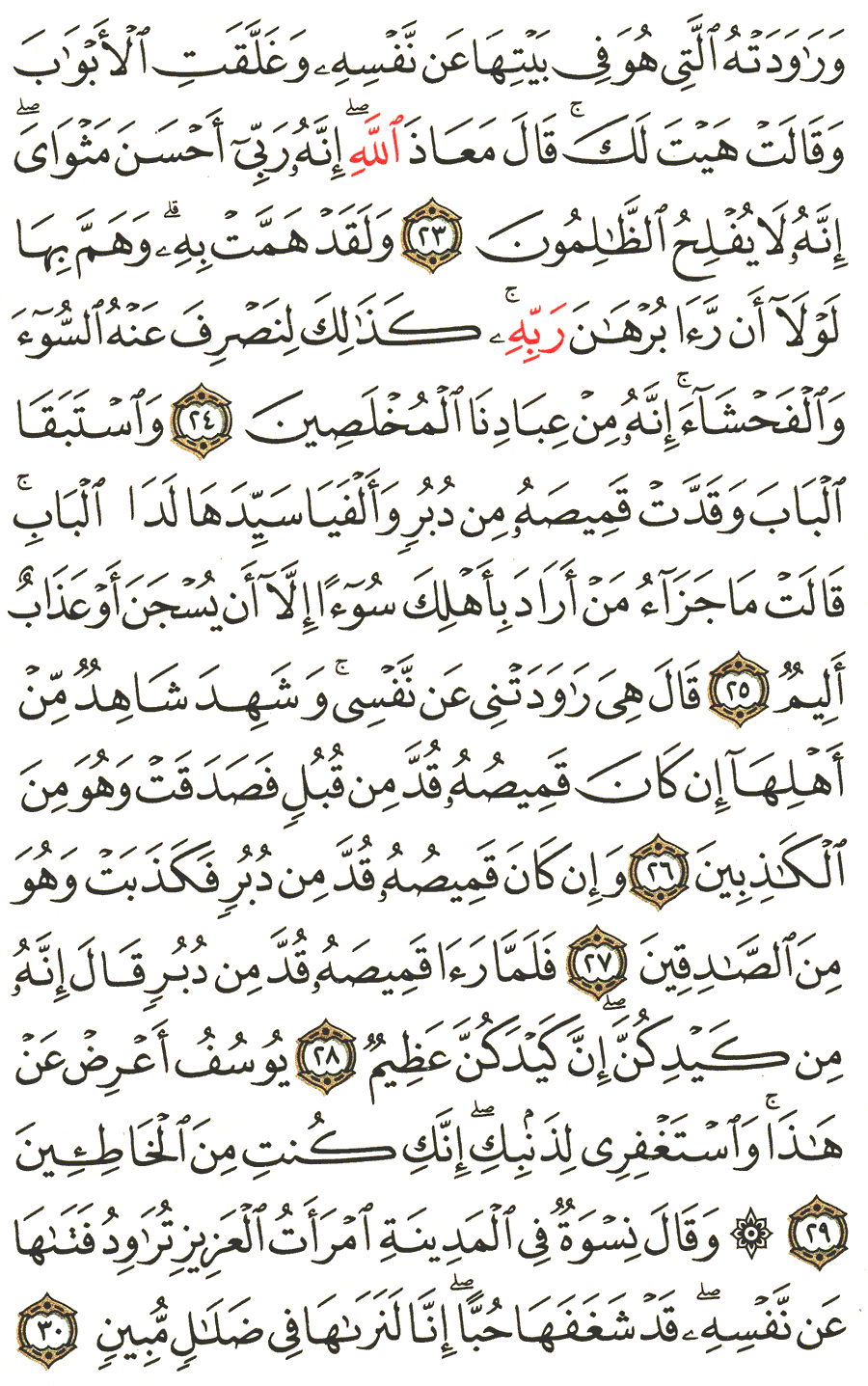 Page No 238   The Noble Quran  