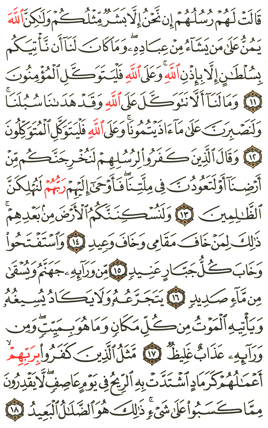 Page No 257   The Noble Quran  