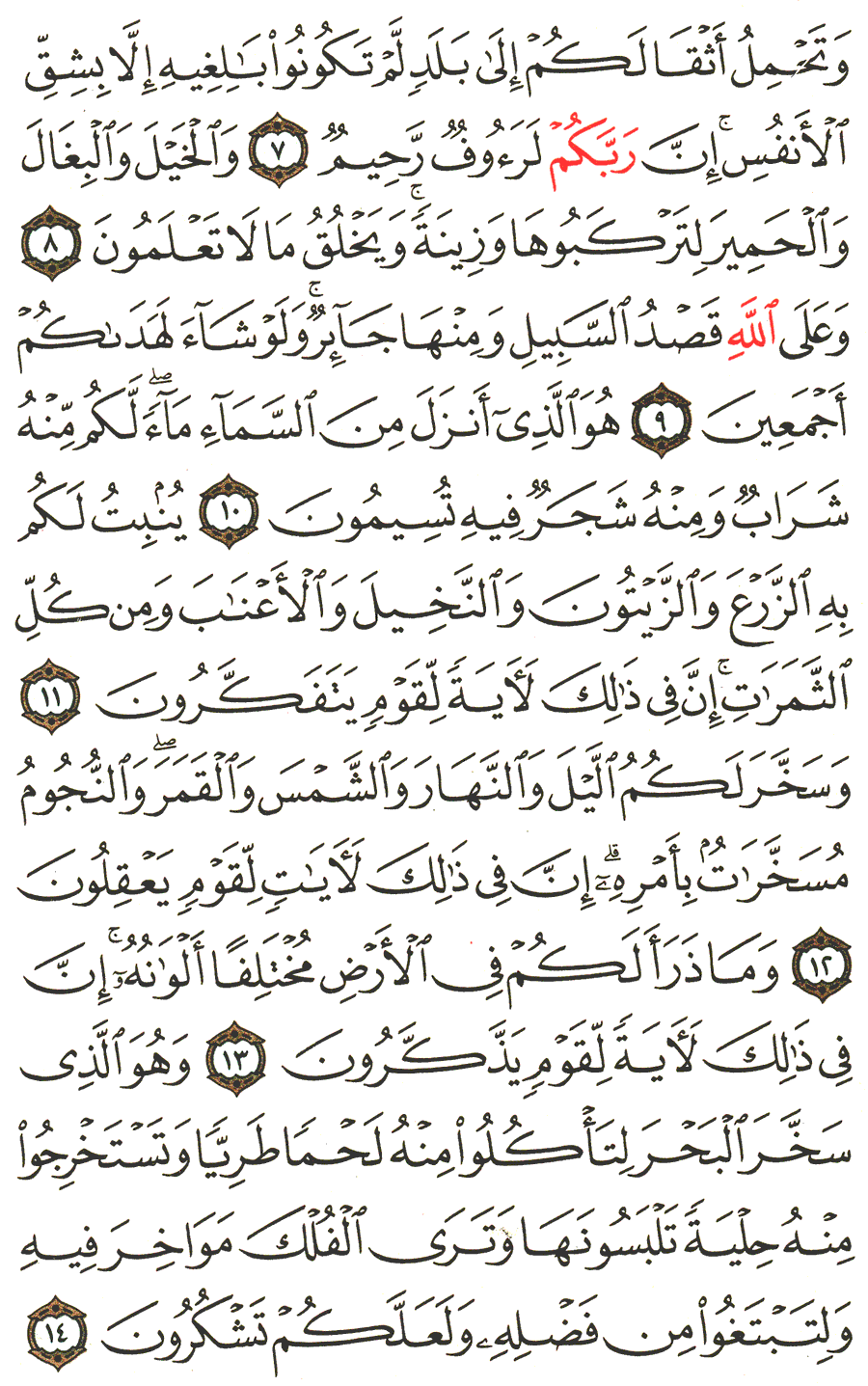 Page No 268   The Noble Quran  