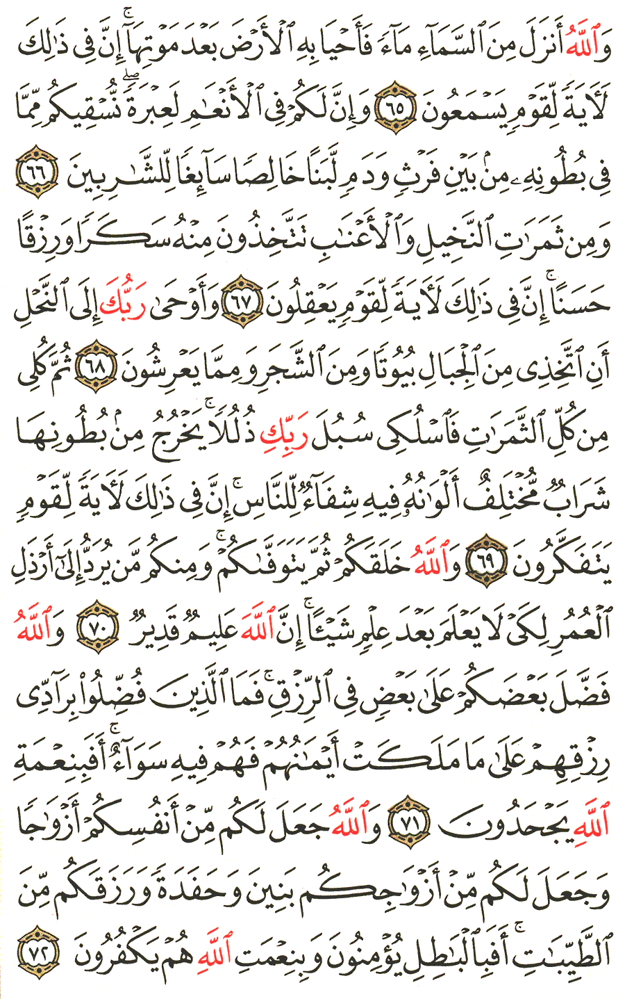 Page No 274   The Noble Quran  