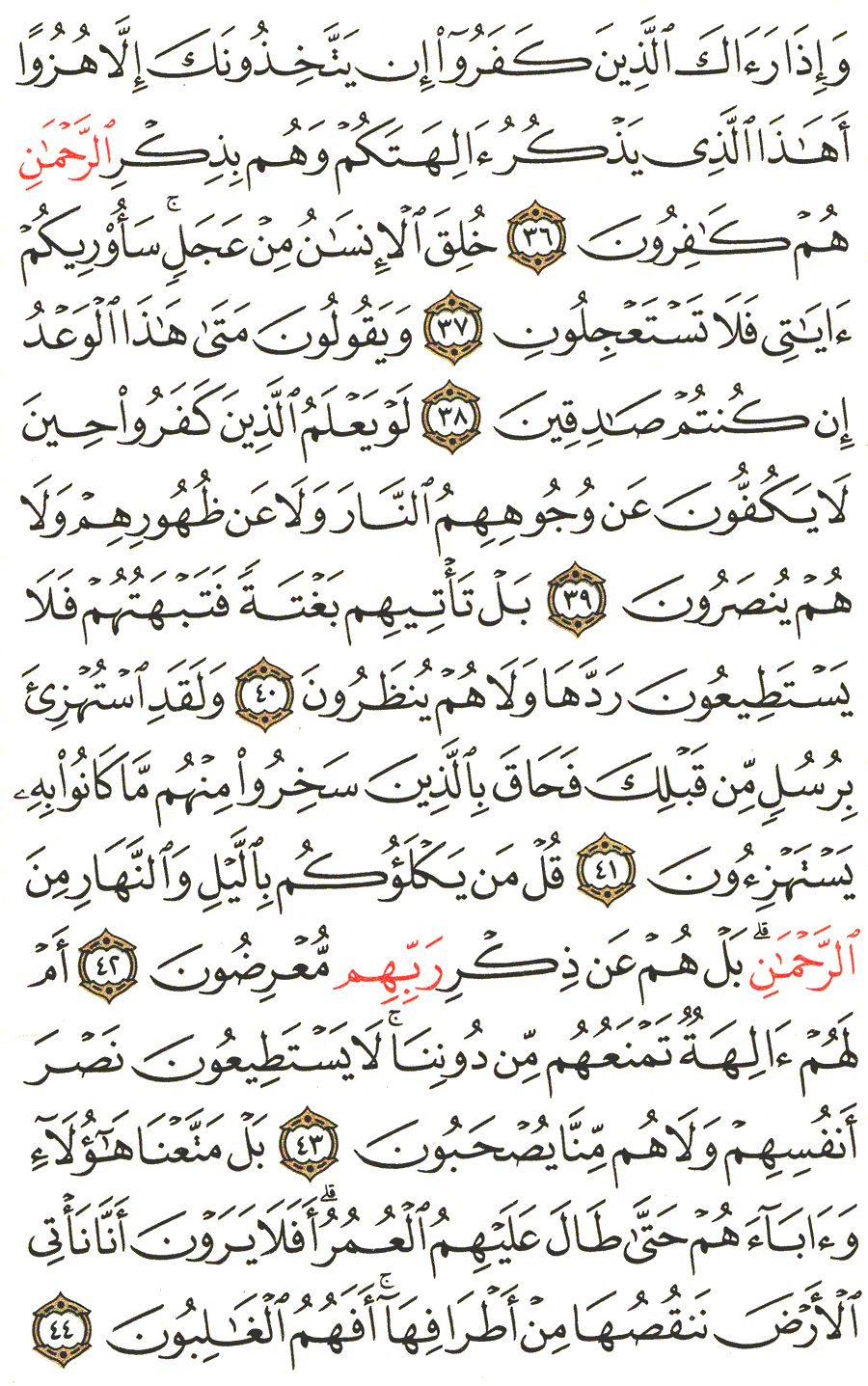 Page No 325   The Noble Quran  