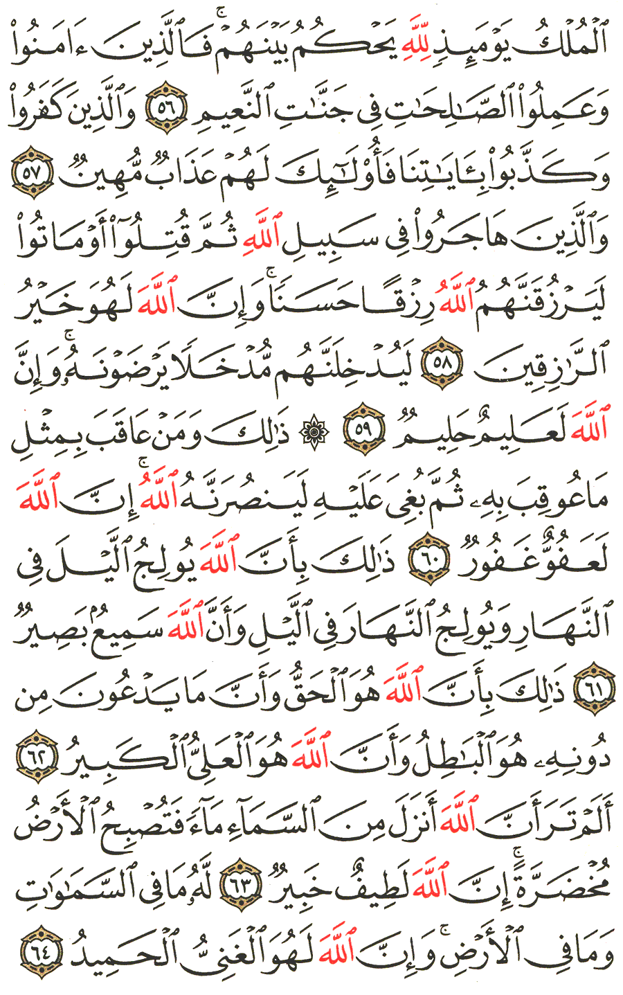 الصفحة رقم 339  من القرآن الكريم مكتوبة من المصحف