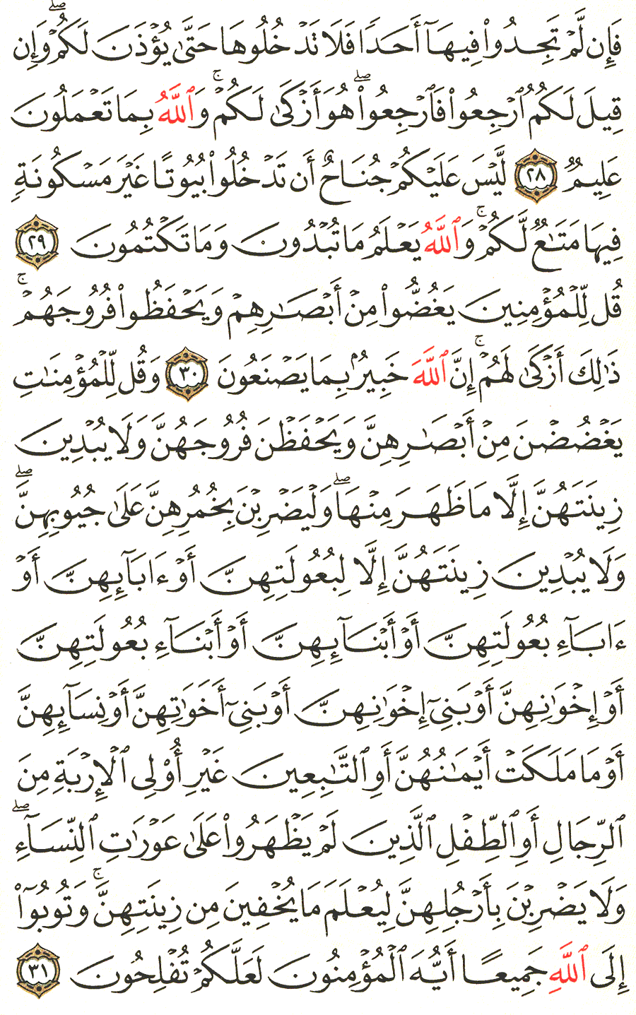 Page No 353   The Noble Quran  