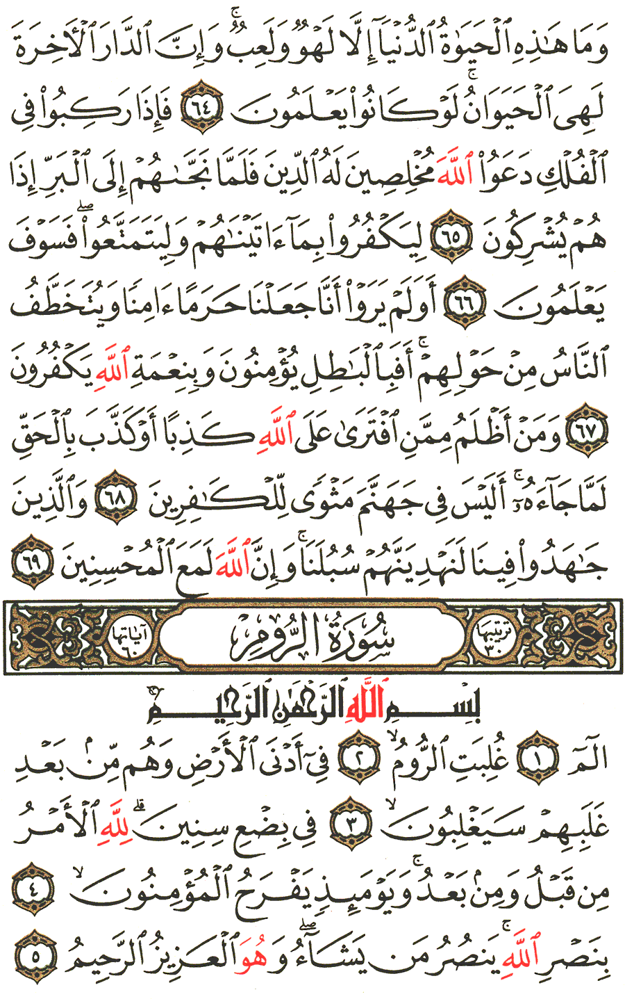 الصفحة رقم 404 من القرآن الكريم مكتوبة من المصحف
