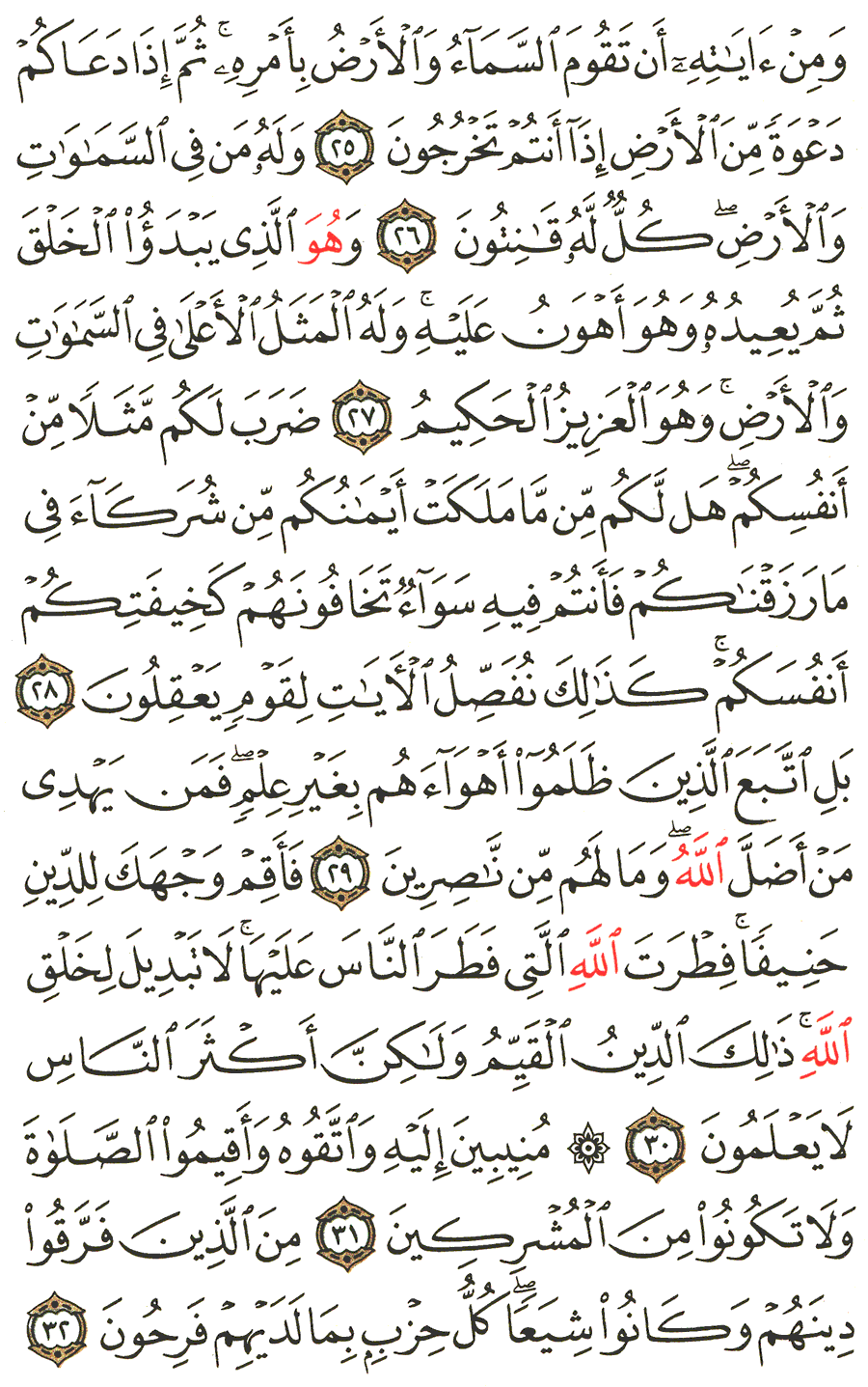 Page No 407  The Noble Quran  