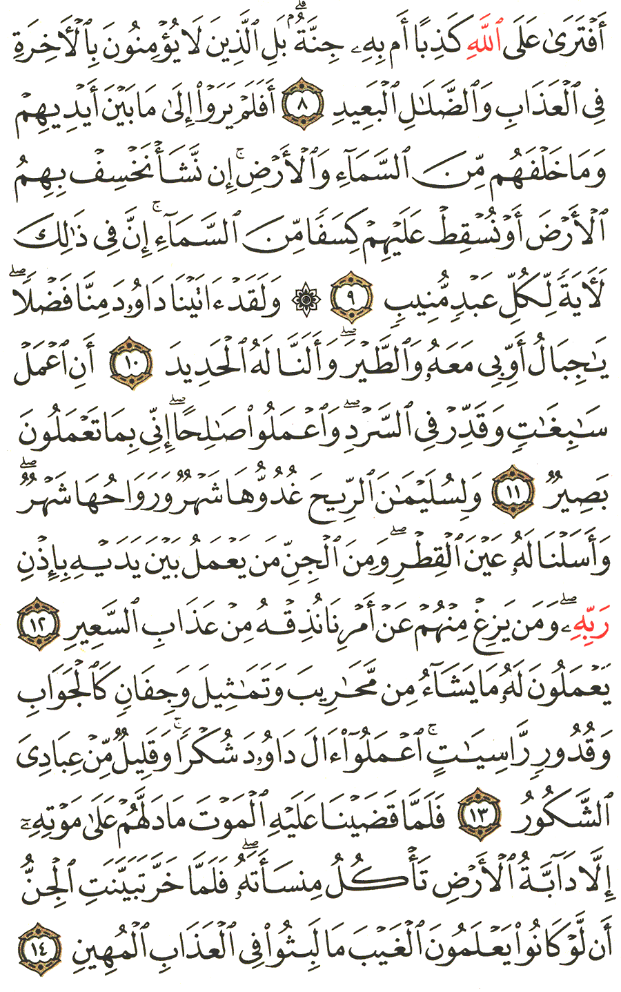 Page No 429  The Noble Quran  
