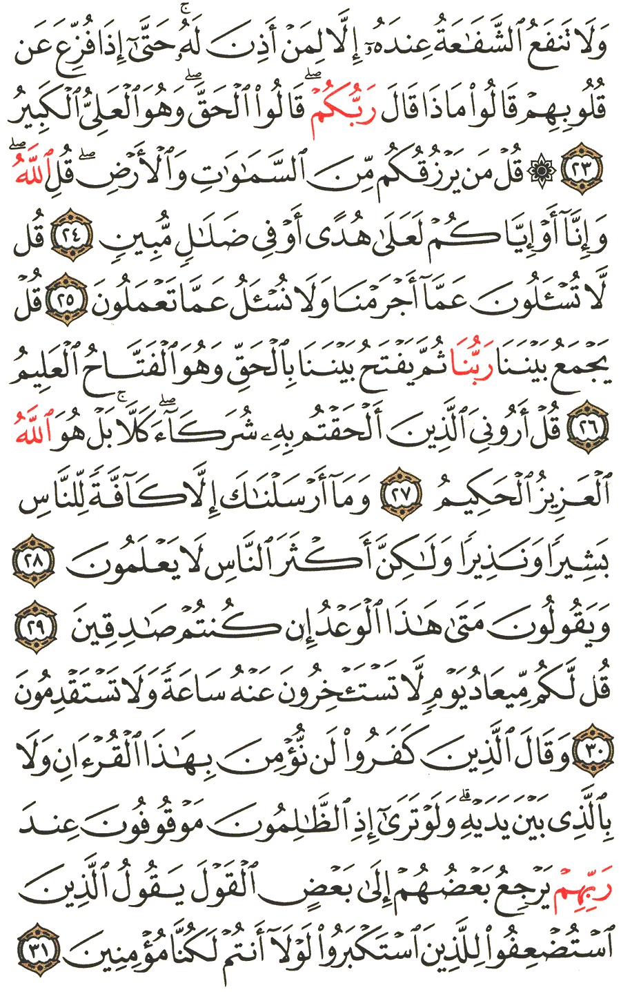 الصفحة رقم 431 من القرآن الكريم مكتوبة من المصحف