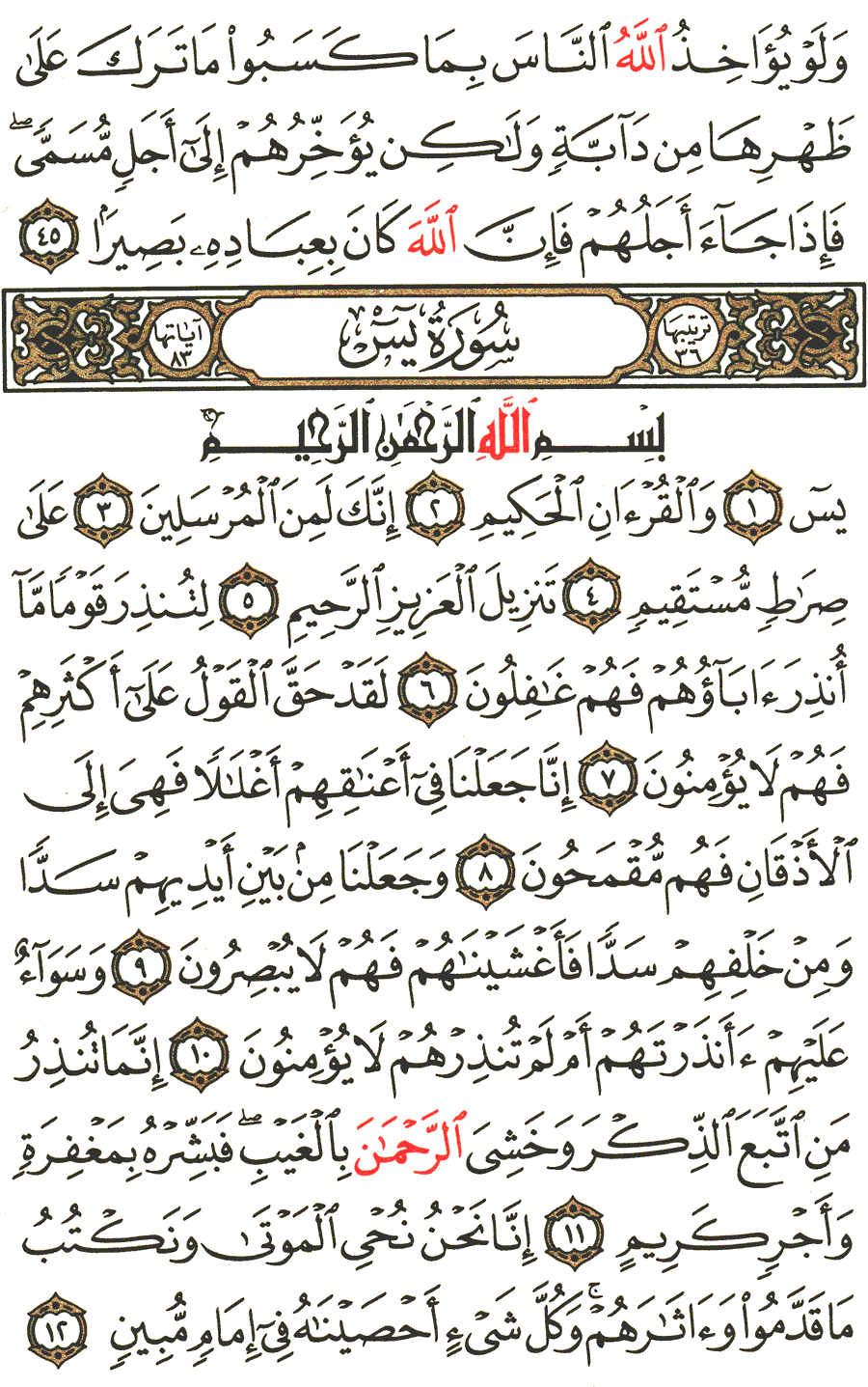 Surah Yasin English Translation Of The Meaning