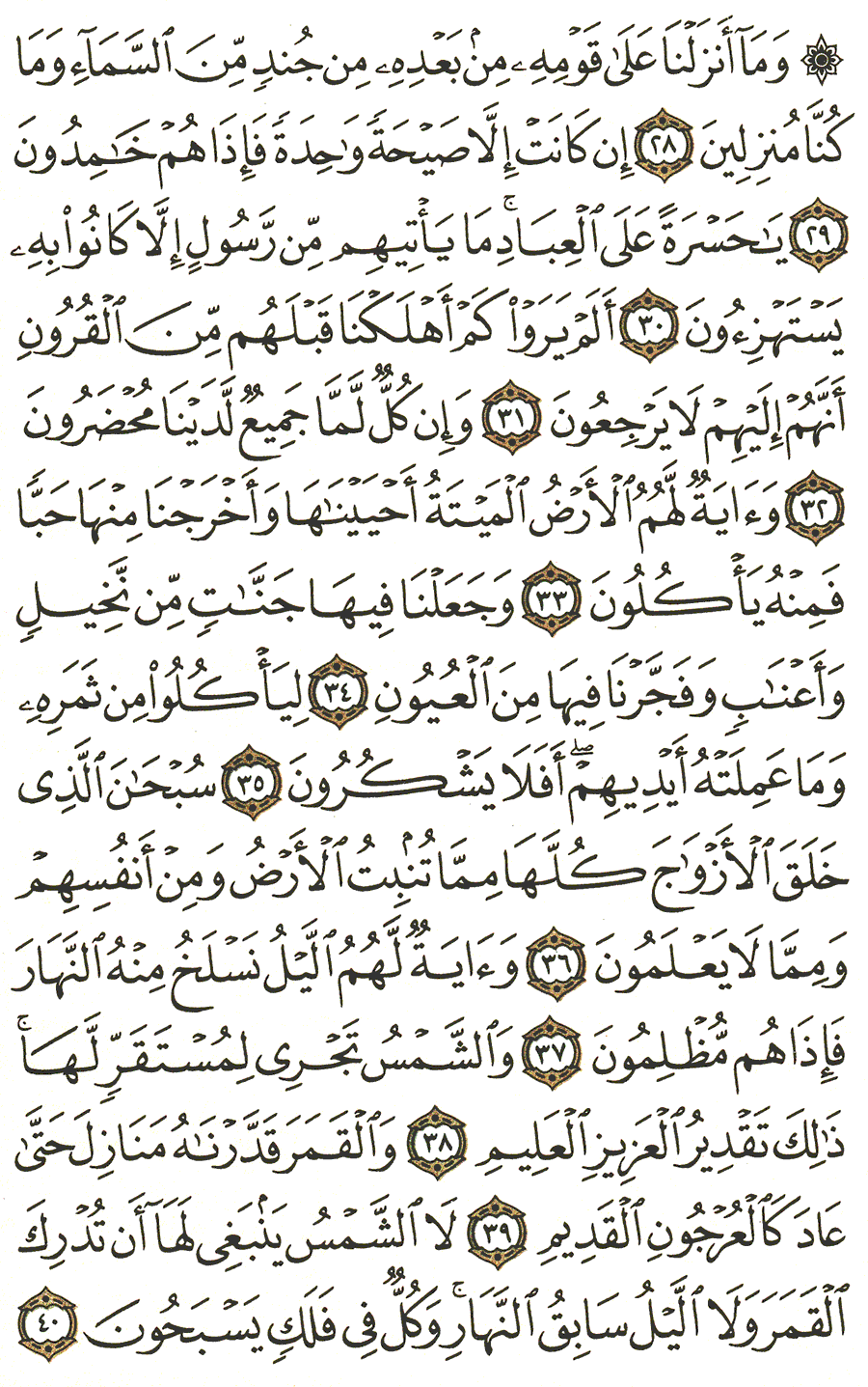 Page No 442  The Noble Quran  