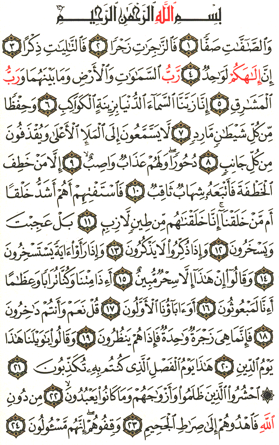 Page No 446  The Noble Quran  