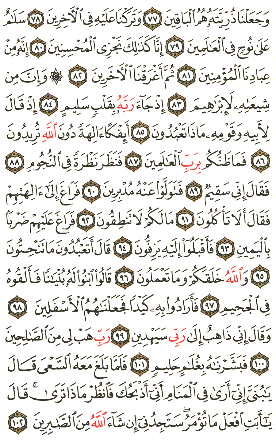 Page No 449  The Noble Quran  