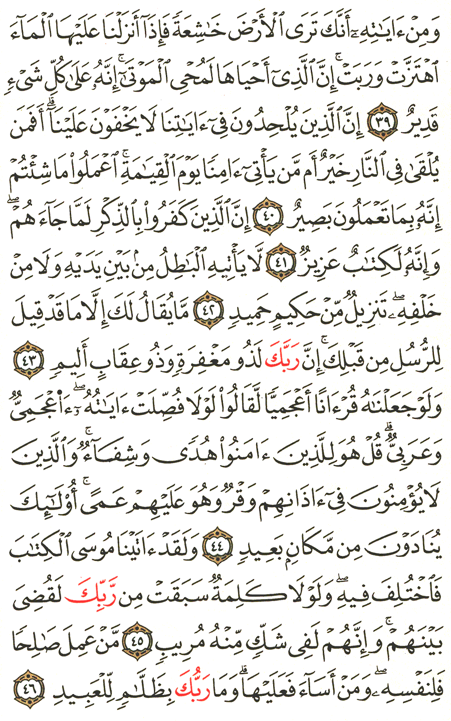 Page No 481  The Noble Quran  