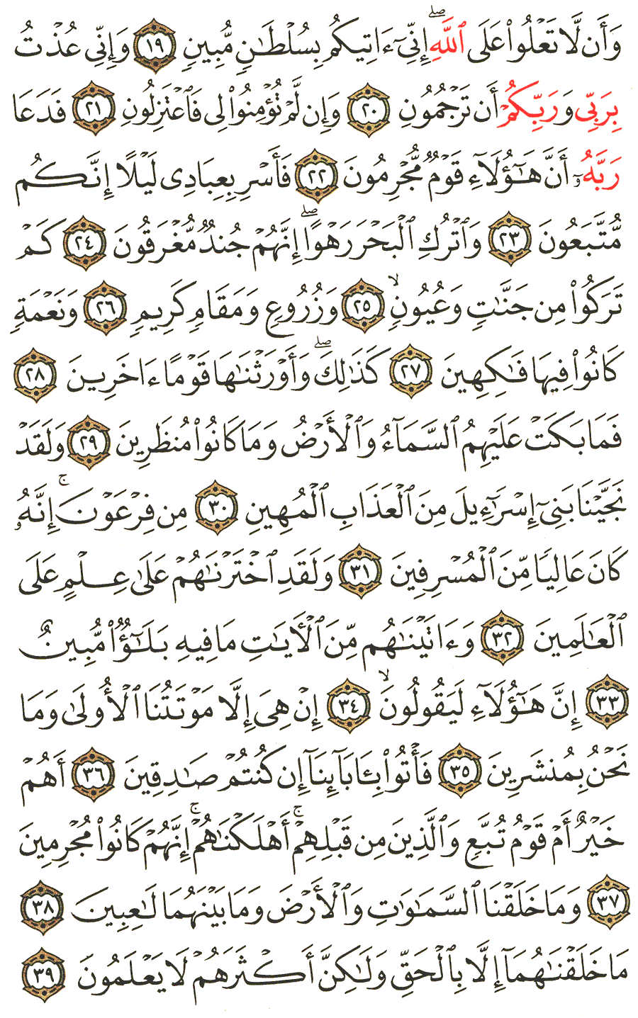 الصفحة رقم 497 من القرآن الكريم مكتوبة من المصحف