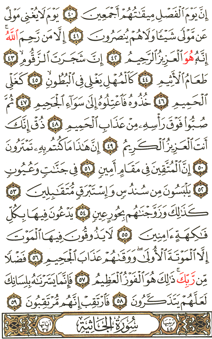 Page No 498  The Noble Quran  