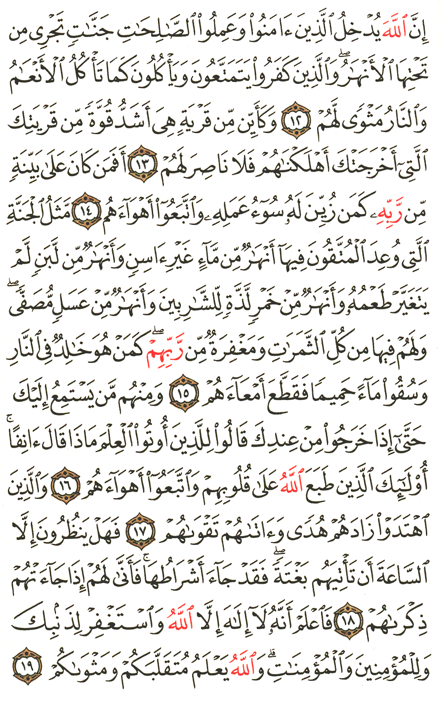 الصفحة رقم 508 من القرآن الكريم مكتوبة من المصحف