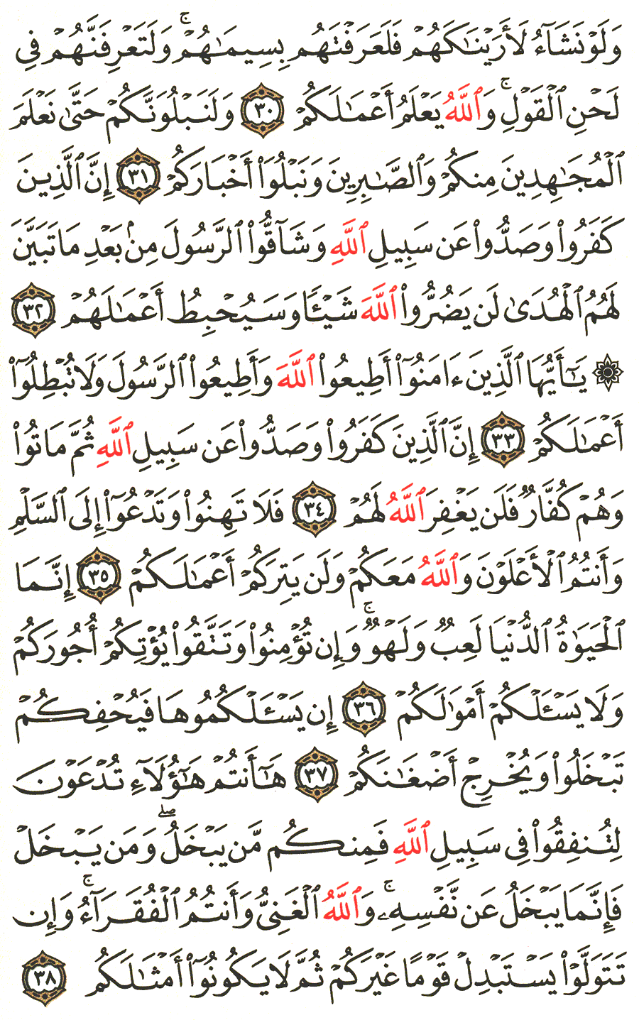 الصفحة رقم 510 من القرآن الكريم مكتوبة من المصحف