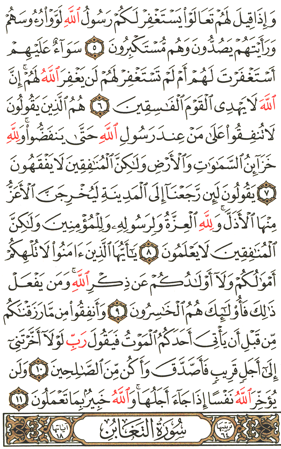 الصفحة رقم 555 من القرآن الكريم مكتوبة من المصحف