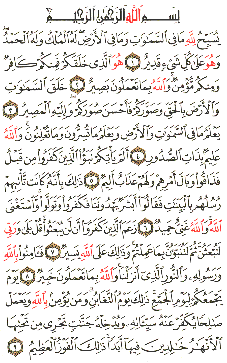 الصفحة رقم 556 من القرآن الكريم مكتوبة من المصحف