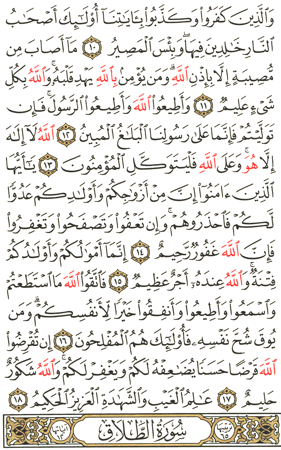 Page No 557  The Noble Quran  