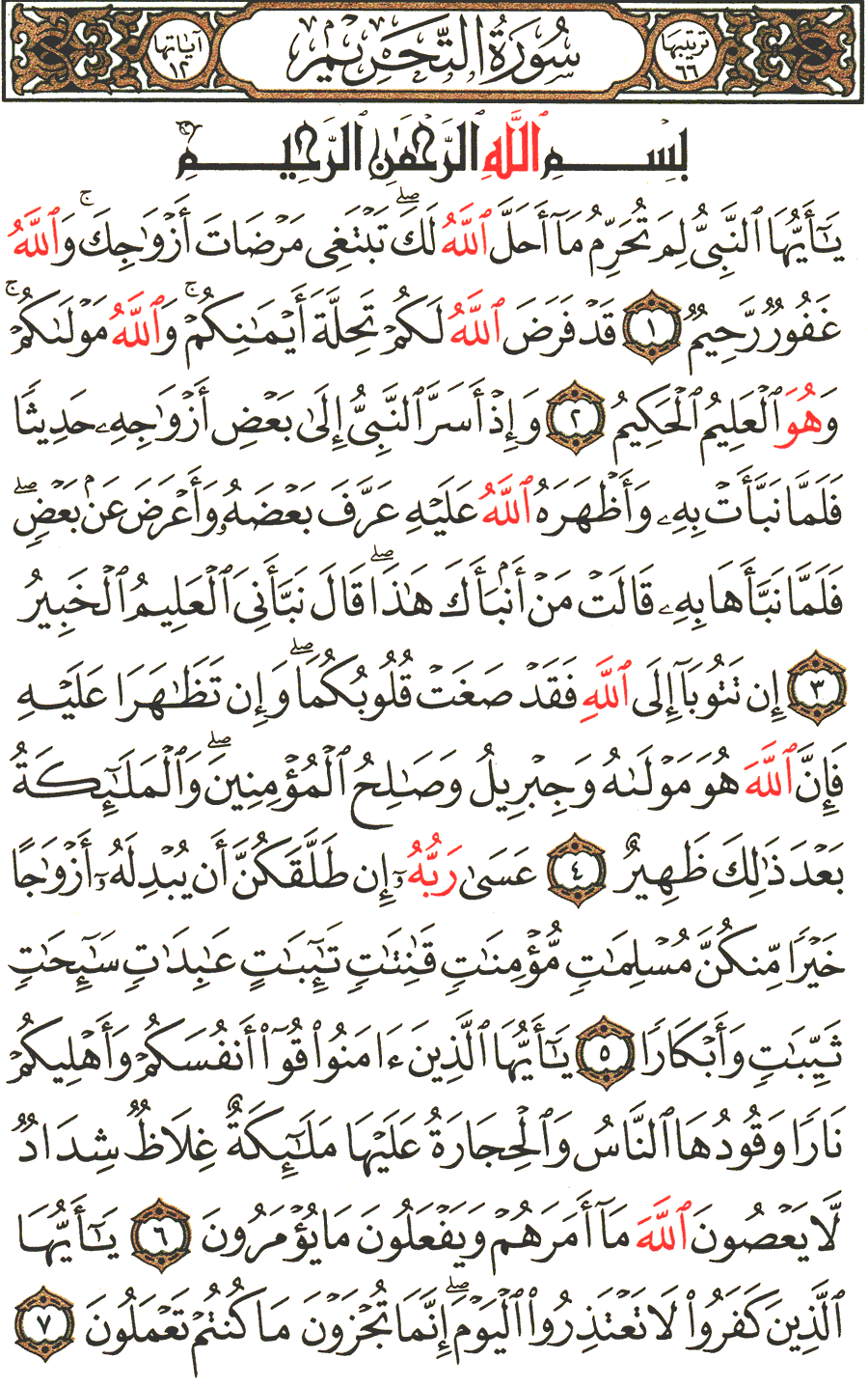 Page No 560  The Noble Quran  