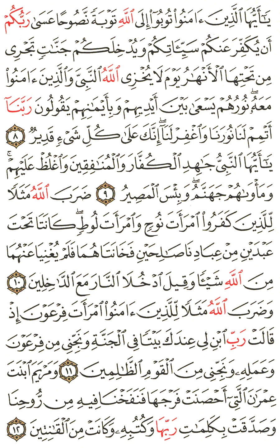 Page No 561  The Noble Quran  