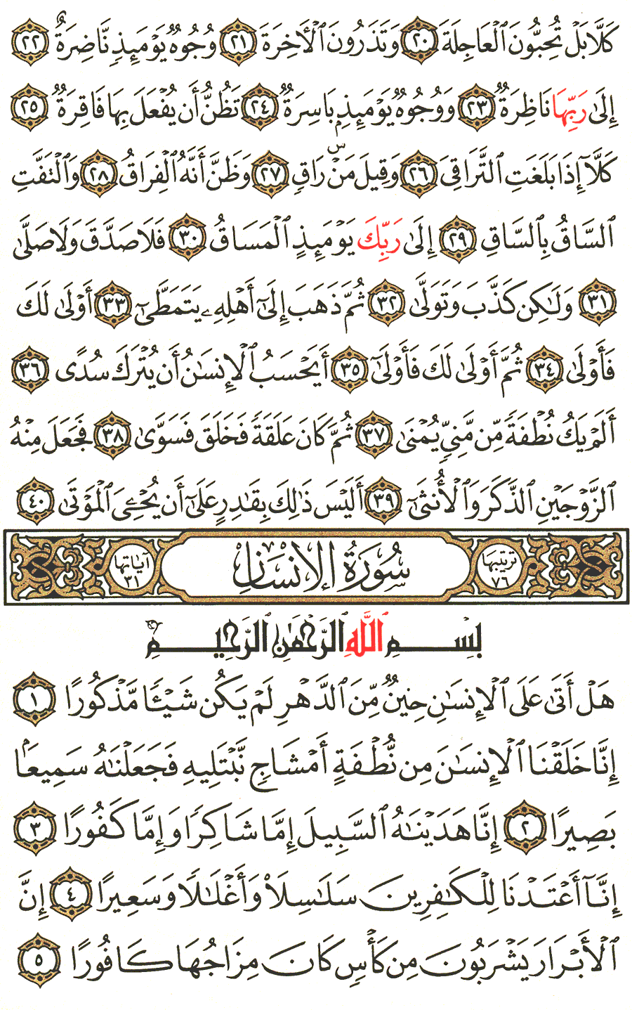 الصفحة رقم 578 من القرآن الكريم مكتوبة من المصحف