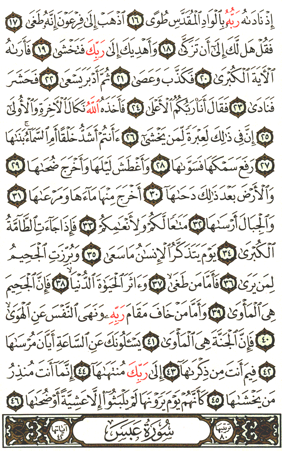 Page No 584  The Noble Quran  