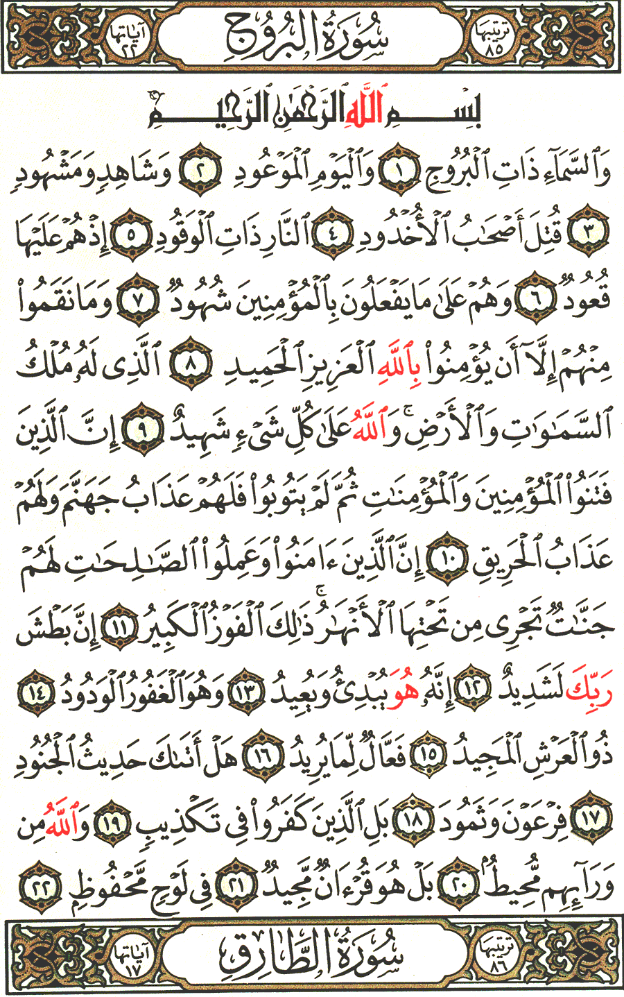 الصفحة رقم 590 من القرآن الكريم مكتوبة من المصحف