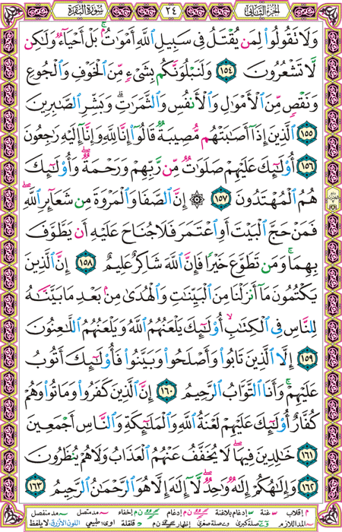 الصفحة رقم  24 من القرآن الكريم مكتوبة من المصحف