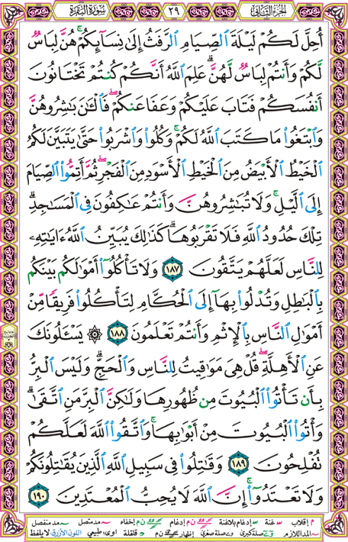 الصفحة رقم  29 من القرآن الكريم مكتوبة من المصحف