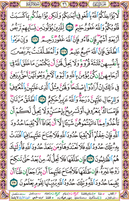 الصفحة رقم  36 من القرآن الكريم مكتوبة من المصحف